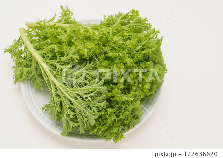 わさび菜 わさび菜 122636620