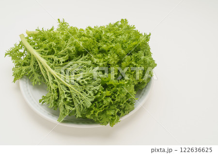 わさび菜 わさび菜 122636625