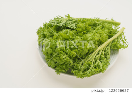 わさび菜 わさび菜 122636627