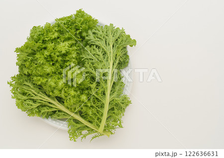 わさび菜 122636631