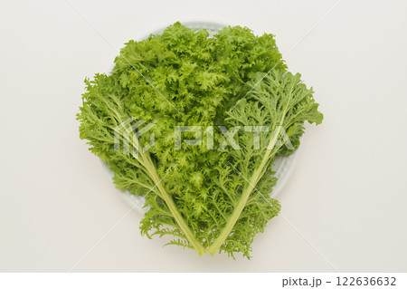 わさび菜 わさび菜 122636632