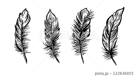 Feather Set hand drawn illustrations. Feather Set hand drawn illustrations. 122636855