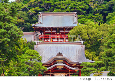 鶴岡八幡宮（神奈川県鎌倉市） 122637305