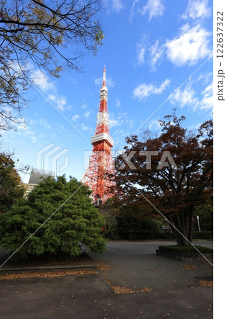 芝公園の木々の間から見えるタワー 芝公園の木々の間から見えるタワー 122637322