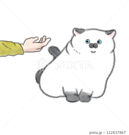 触られたくない猫 122637867