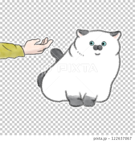 触られたくない猫 122637867