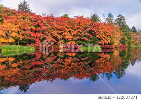 【長野県】雲場池の紅葉　湖面に映る秋 122637871