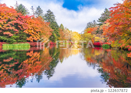 【長野県】雲場池の紅葉　湖面に映る秋 122637872