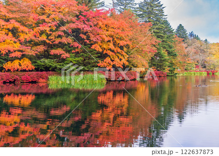 【長野県】雲場池の紅葉　湖面に映る秋 122637873