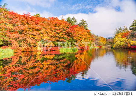 【長野県】雲場池の紅葉　湖面に映る秋 122637881
