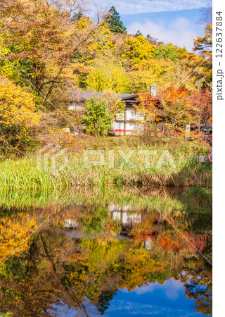 【長野県】雲場池の紅葉　湖面に映る秋 122637884