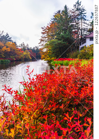 【長野県】雲場池の紅葉　湖面に映る秋 122637887