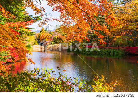 【長野県】雲場池の紅葉　湖面に映る秋 122637889