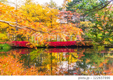 【長野県】雲場池の紅葉　湖面に映る秋 122637890