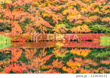 【長野県】雲場池の紅葉　湖面に映る秋 122638131