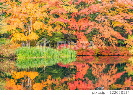 【長野県】雲場池の紅葉　湖面に映る秋 122638134