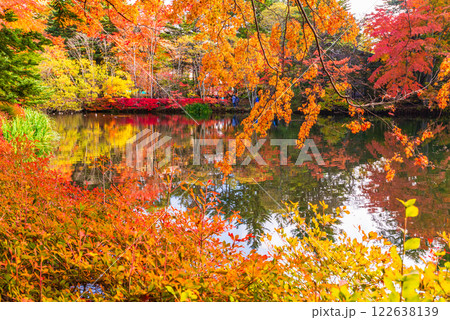 【長野県】雲場池の紅葉 湖面に映る秋 【長野県】雲場池の紅葉 湖面に映る秋 122638139