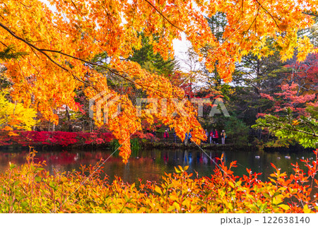 【長野県】雲場池の紅葉 湖面に映る秋 【長野県】雲場池の紅葉 湖面に映る秋 122638140