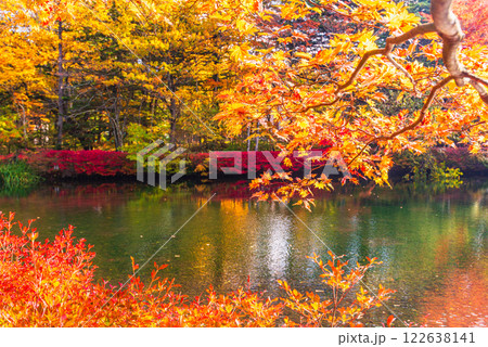 【長野県】雲場池の紅葉 湖面に映る秋 【長野県】雲場池の紅葉 湖面に映る秋 122638141