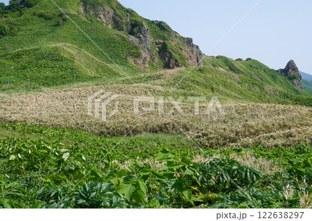 神威岬のあたりを散策して(積丹町) 神威岬のあたりを散策して(積丹町) 122638297