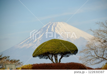 初春の山中城址からは雪を戴いた富士山が望める 初春の山中城址からは雪を戴いた富士山が望める 122638387