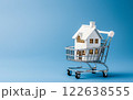 A house is a shopping cart 122638555