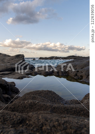 城ヶ島の磯の潮溜まり 城ヶ島の磯の潮溜まり 122639056