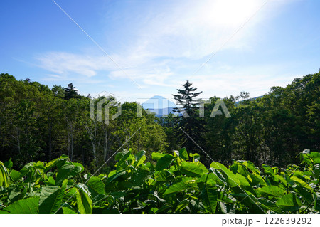 中山峠、峠の茶屋から見る羊蹄山 122639292