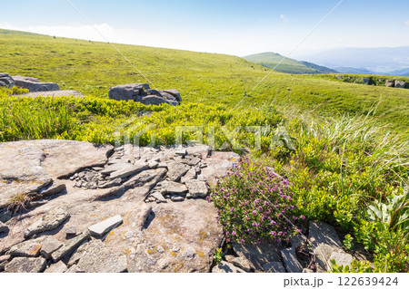 landscape with sandstone rocks on the grassy meadow. sunny day. alpine scenery of ukraine in summer. smooth mountain in morning light. blue sky landscape with sandstone rocks on the grassy meadow. sunny day. alpine scenery of ukraine in summer. smooth mountain in morning light. blue sky 122639424