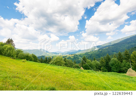 beautiful countryside of ukraine. sunny day. scenic summer landscape in carpathian mountains. grassy field and rolling hills. rural scenery 122639443