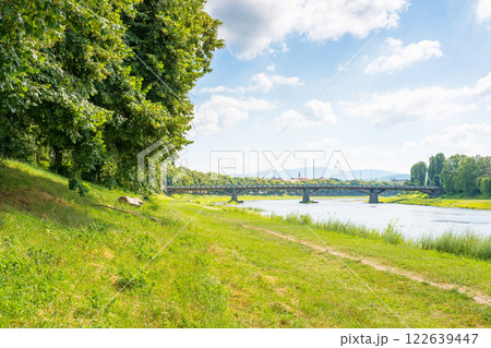 embankment with linden trees in blossom. scenery by the river uzh on a sunny day. masaryk bridge in the distance embankment with linden trees in blossom. scenery by the river uzh on a sunny day. masaryk bridge in the distance 122639447