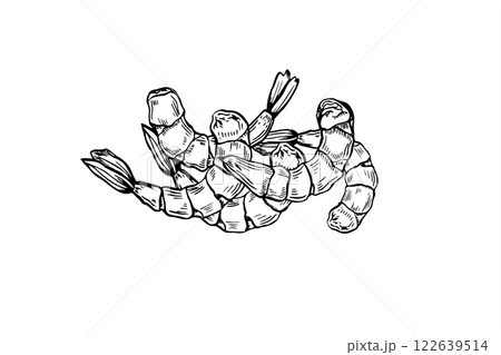 Peeled boiled prawn heap vector food illustration painted by black inks. Cooked unshelled tiger shrimps pile realistic graphic sketch. Seafood cooking ingredient etching drawing for menu, recipe. Peeled boiled prawn heap vector food illustration painted by black inks. Cooked unshelled tiger shrimps pile realistic graphic sketch. Seafood cooking ingredient etching drawing for menu, recipe. 122639514