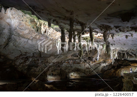 秋吉台　秋芳洞の鍾乳石の天井 122640057