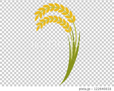 Illustration of rice 122640818