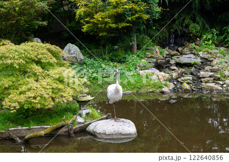 Tranquil Japanese Garden with Elegantly Poised Cranes Tranquil Japanese Garden with Elegantly Poised Cranes 122640856