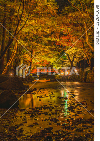 森町の遠江国一宮小國神社の紅葉のライトアップに映える橋の風景(静岡県) 122641099