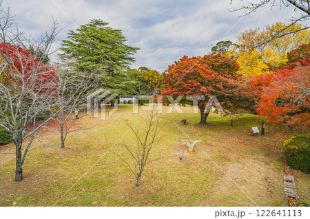 浜松市の鳥羽山公園の夕方の紅葉の風景(静岡県) 浜松市の鳥羽山公園の夕方の紅葉の風景(静岡県) 122641113