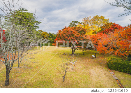 浜松市の鳥羽山公園の夕方の紅葉の風景(静岡県) 122641650