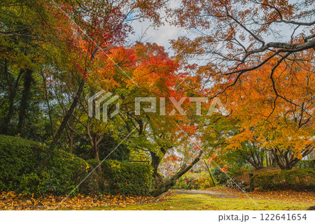 浜松市の鳥羽山公園の夕方の紅葉の風景(静岡県) 浜松市の鳥羽山公園の夕方の紅葉の風景(静岡県) 122641654