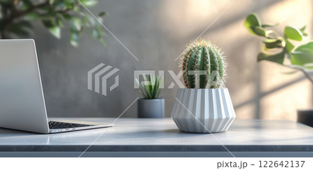 A matte, smooth gray desk with a clean white laptop and a tiny cactus in a geometric pot. 122642137