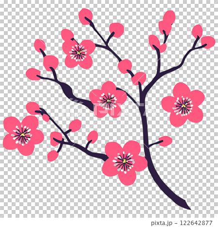 簡單的梅花圖 122642877
