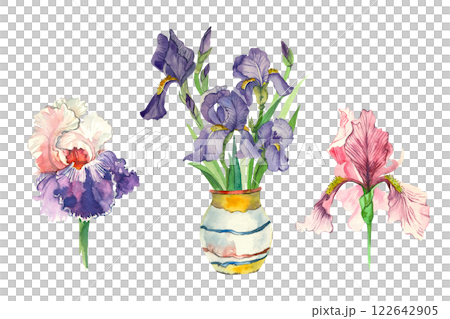 A set of watercolor illustrations. Irises of different colors of pink and purple, irises in a vase. All objects are hand-drawn with watercolors. For printing on fabric, postcards, invitations. A set of watercolor illustrations. Irises of different colors of pink and purple, irises in a vase. All objects are hand-drawn with watercolors. For printing on fabric, postcards, invitations. 122642905