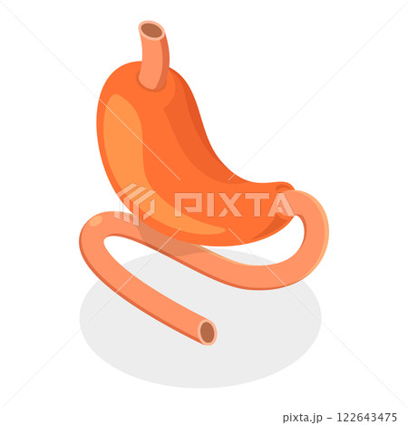 3D Isometric Flat Illustration of Digestive System Anatomy. Item 2 3D Isometric Flat Illustration of Digestive System Anatomy. Item 2 122643475