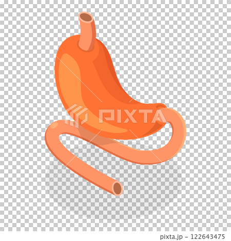 3D Isometric Flat Illustration of Digestive System Anatomy. Item 2 3D Isometric Flat Illustration of Digestive System Anatomy. Item 2 122643475