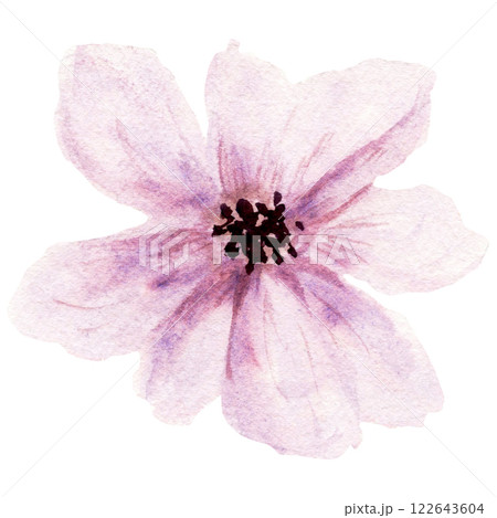 White lilac fantasy flower by watercolor on white background White lilac fantasy flower by watercolor on white background 122643604