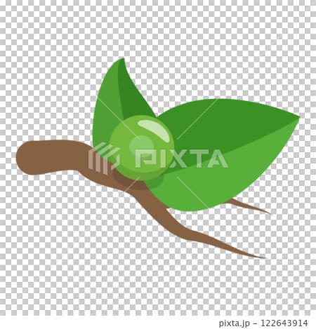 3D Isometric Flat Illustration of Butterfly Metamorphosis. Item 7 3D Isometric Flat Illustration of Butterfly Metamorphosis. Item 7 122643914
