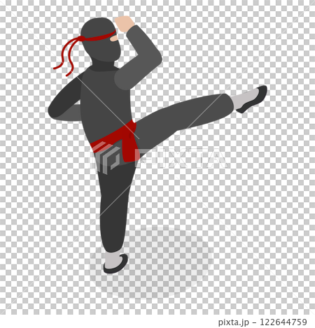 3D Isometric Flat  Set of Ninja Warriors. Item 3 122644759