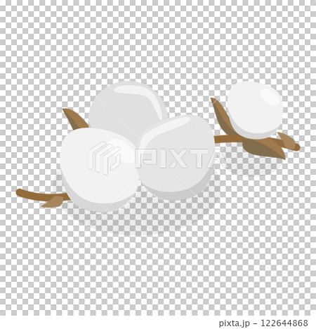 3D Isometric Flat  Illustration of Cotton Flower Collection. Item 5 122644868
