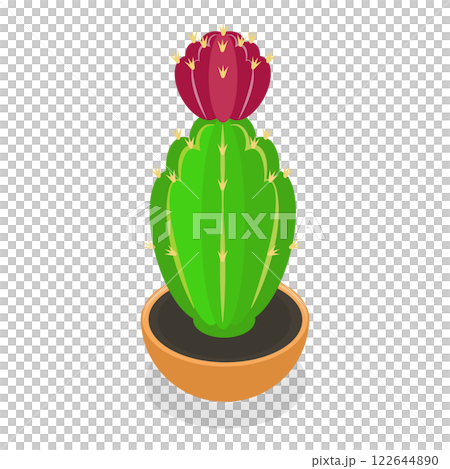 3D Isometric Flat  Set of Cactuses. Item 3 122644890