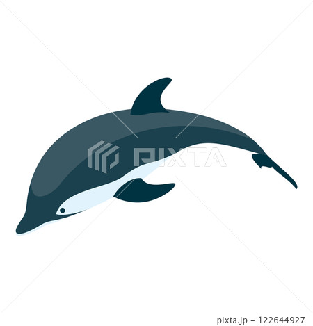 3D Isometric Flat Set of Types Of Dolphins. Item 9 3D Isometric Flat Set of Types Of Dolphins. Item 9 122644927